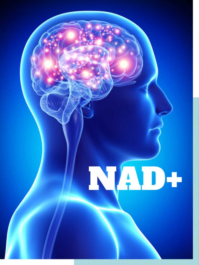 What is NAD? BIOnad
